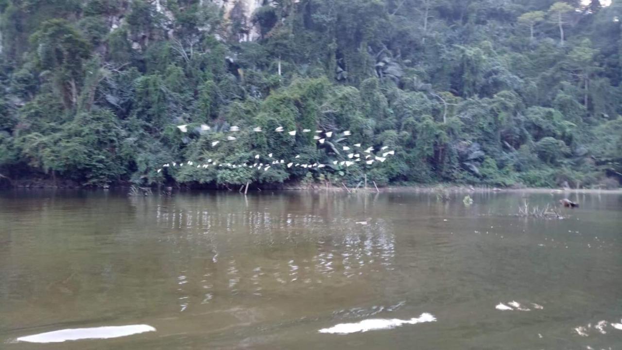 An MaNha Nghi Son Lam - Panorama Lake View公寓 外观 照片
